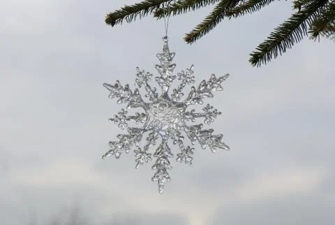 Snowdrop Stock Photos