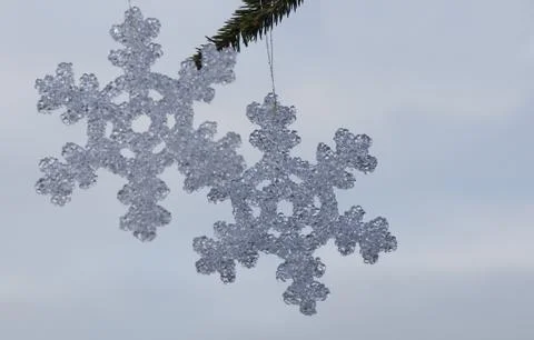 Snowdrop Stock Photos