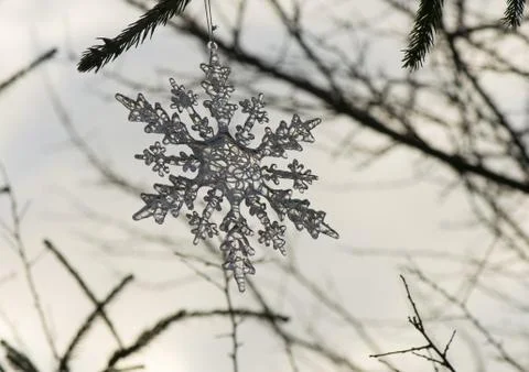 Snowdrop Stock Photos