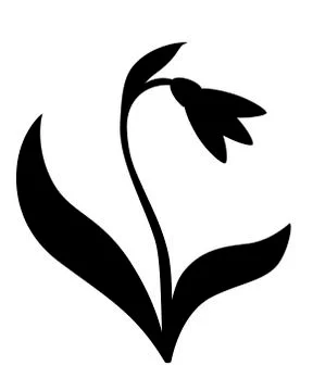 Snowdrop with two leaves - black vector silhouette for pictogram or logo. Stock Illustration