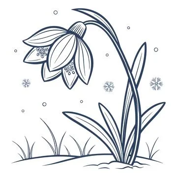 Snowdrop vector illustration isolated on graceful snowdrop flower with delic Stock Illustration
