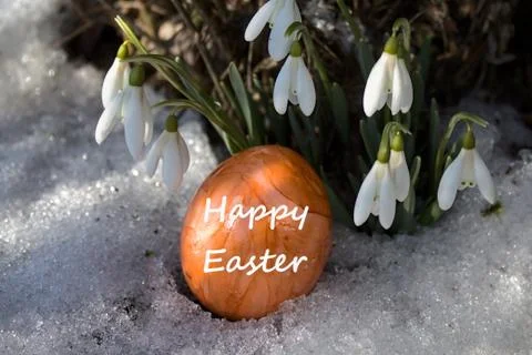 Snowdrops and a easter egg with the text happy easter Stock Photos