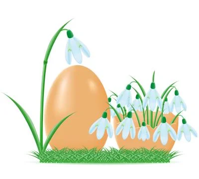 Snowdrops are in egg shell vector illustration Stock Illustration