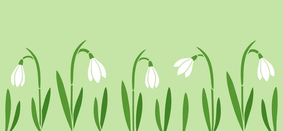 Snowdrops bg Stock Illustration