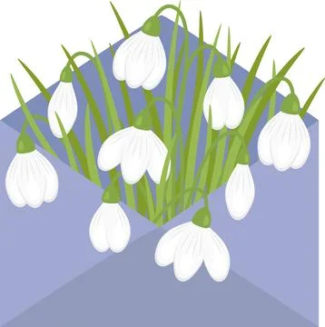 Snowdrops in an envelope Ilustración de archivo