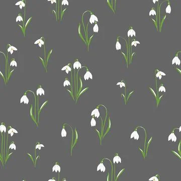 Snowdrops flower on dark background Stock Illustration
