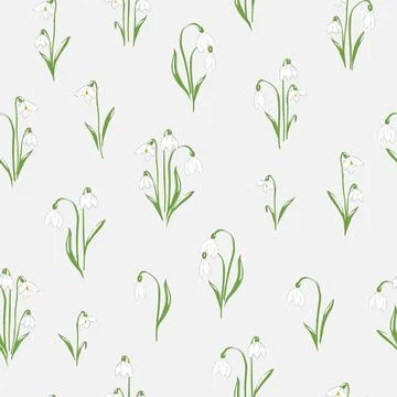 Snowdrops flower on neutral background Stock Illustration