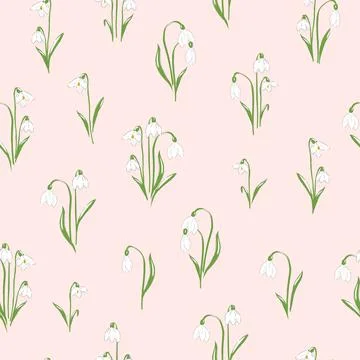 Snowdrops flower on neutral background Stock Illustration