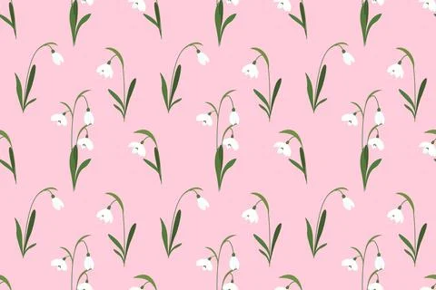 Snowdrops flower on pink background. Spring floral hand drawn background. V.. Stock Illustration