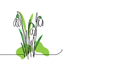 Snowdrops flowers single line animated illustration. One continuous self drawing Stock Footage 301801859