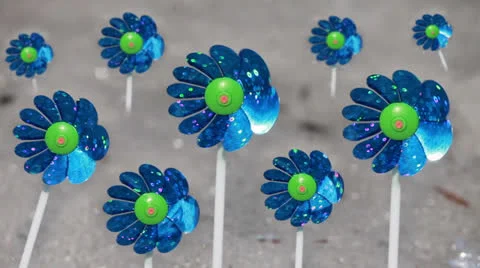 Snowdrops Stock Footage 23115086