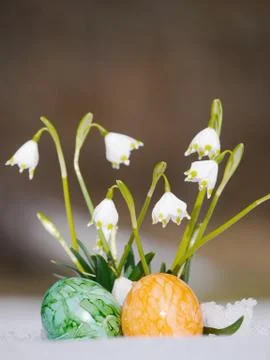Snowdrops growing out snow with easter eggs Stock Photos
