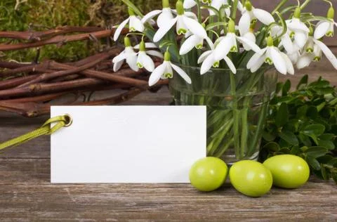 Snowdrops Stock Photos