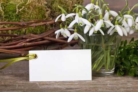 Snowdrops Stock Photos