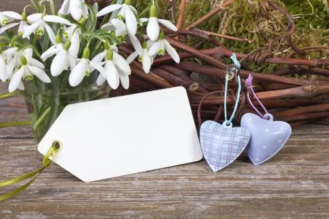 Snowdrops Stock Photos