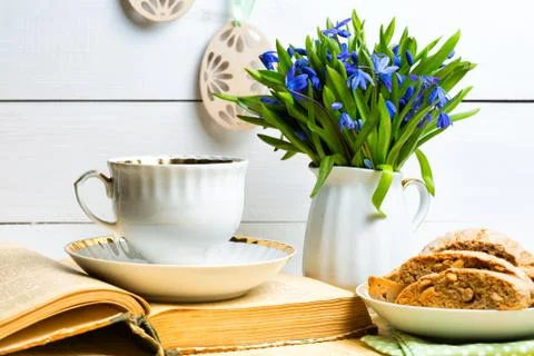 Snowdrops Stock-Fotos