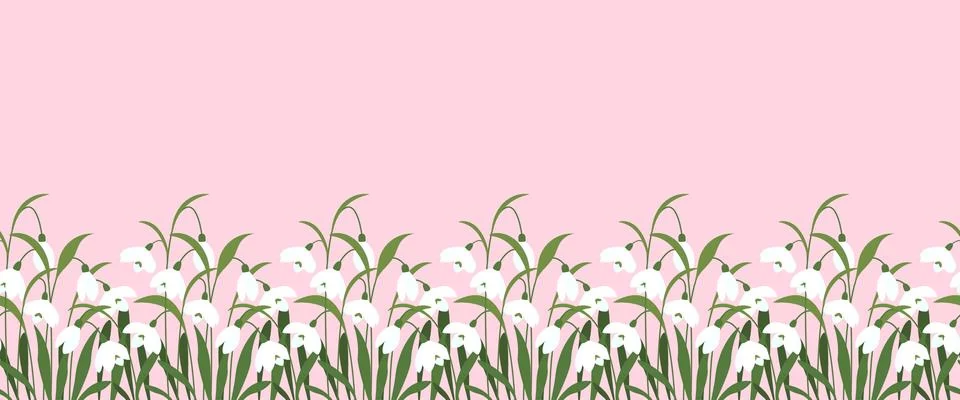 Snowdrops seamless border. First spring flowers in flat style. Vector illus.. Stock Illustration