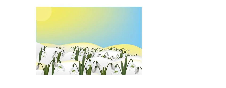 Snowdrops in snow Stock Illustration