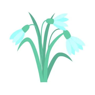 Snowdrops spring primrose isolated vector illustration Stock Illustration