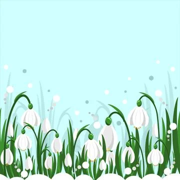 Snowdrops on turquoise blue background spring petals border pattern vector 스톡 일러스트