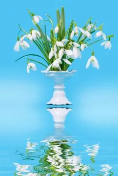 Snowdrops in a vase Stock Photos