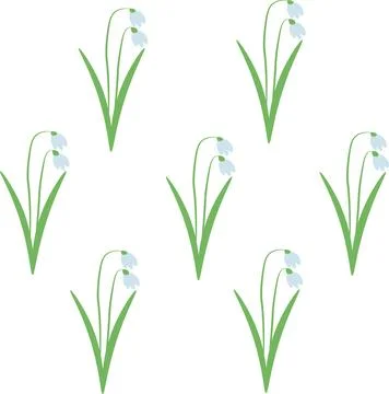 Snowdrops, the very first spring flowers blooming through the snow. A simple  Stock Illustration