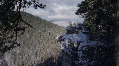 Snowed cliff in the forest Video stock 83426773