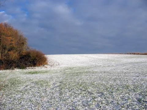 Snowed field during winter Stock Photos