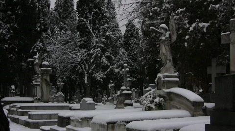 Snowed Graveyard Stock Footage 713741