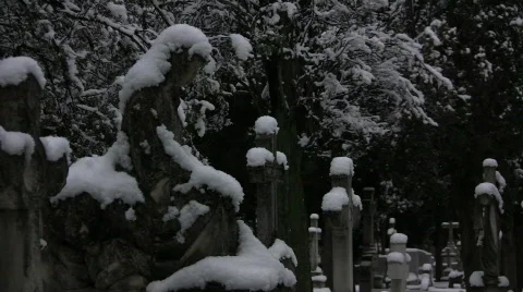 Snowed Graveyard 库存影片 714151