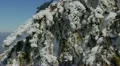 Snowed Hoarfrost Fir Trees Dark Sky Snow Covered Alpine Background Frozen Sunny HD Footage