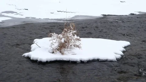 Snowed island in river Stock Footage 107784949