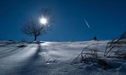 Snowed landscape. Stock Photos