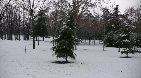 Snowed Park 库存影片 603302