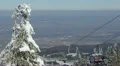 Snowed Trees Branches Winter Scenery Weather Mountains Nature Pine Woods Forest HD Footage