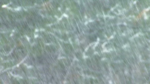 Snowfall-001 Stock Footage