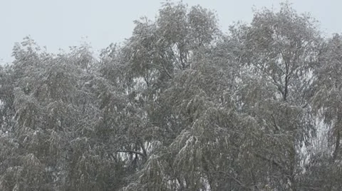 Snowfall 02 Stock Footage 12741990