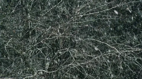 Snowfall 02 動画素材 32814705