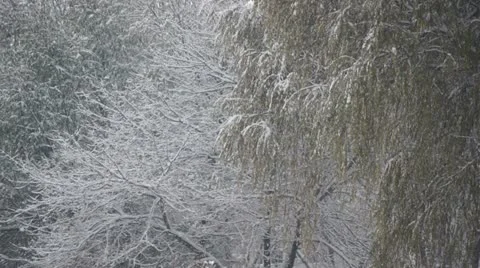 Snowfall 03 Stock Footage 12746117