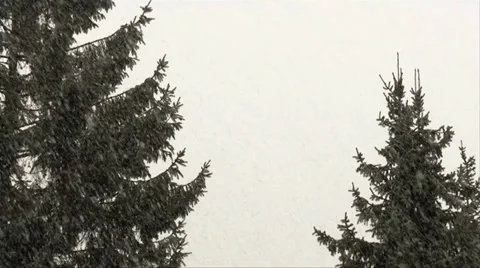 Snowfall 03 動画素材 32814727