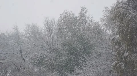 Snowfall 04 Stock Footage 12746103