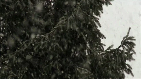 Snowfall 04 動画素材 32814743