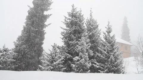 Snowfall 1 Video stock 35525548