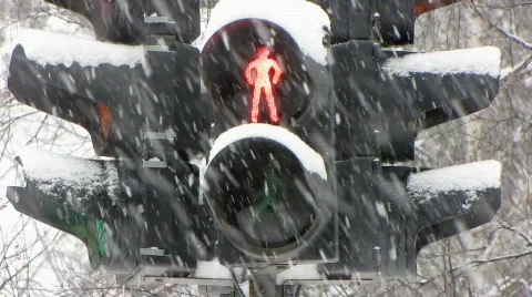 Snowfall 19  Stock Footage 560403