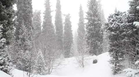 Snowfall 2 Stock Footage 35525519