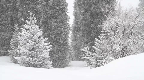 Snowfall 4 Stock Footage 35525933