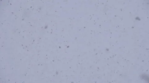 Snowfall 4K 2TZ Stock Footage 280416573