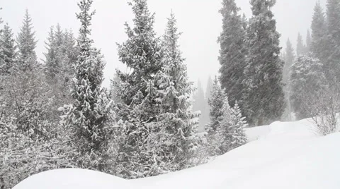 Snowfall 5 Video stock 35526124