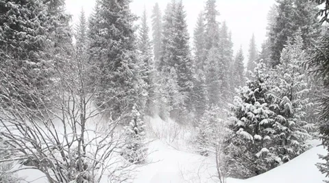 Snowfall 6 스톡 동영상 35526086