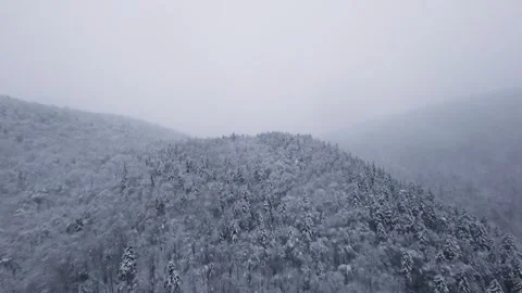 Snowfall aerial over pine forest ridge with fpv movement Stock Footage 321251100